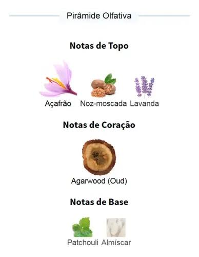 Pirâmide Olfativa (Perfume Inspirado)